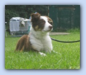 augustus 2004